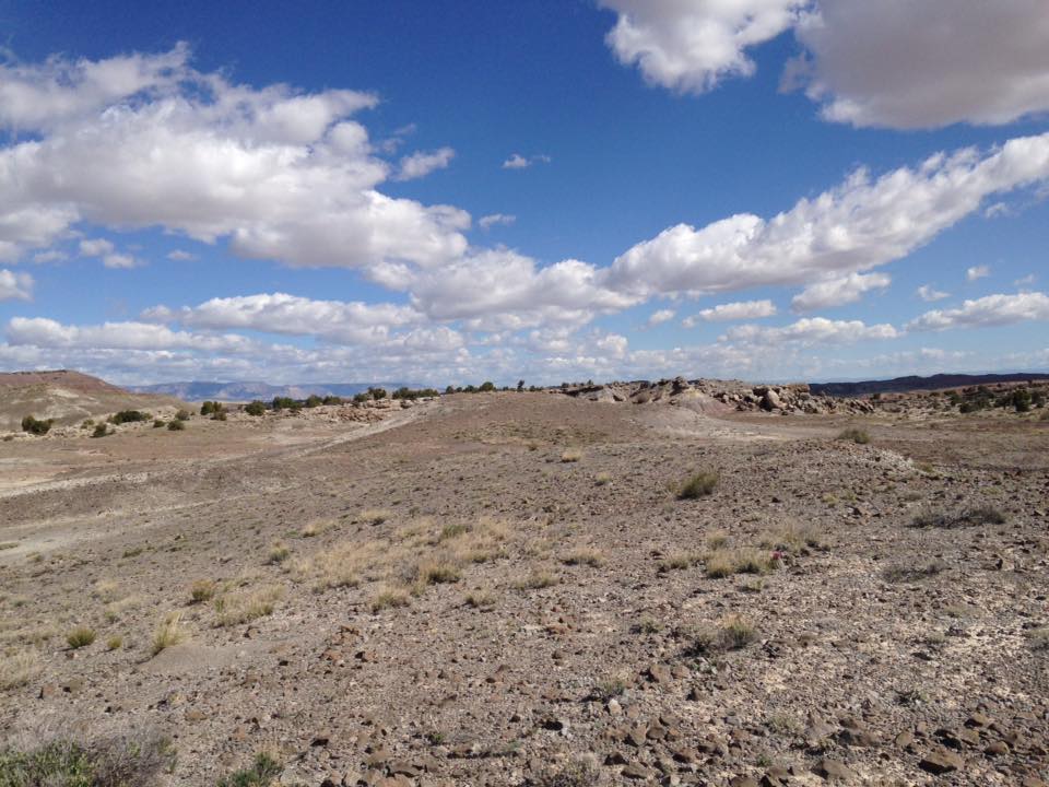 13178810_1244475848914496_4825520681163146412_n