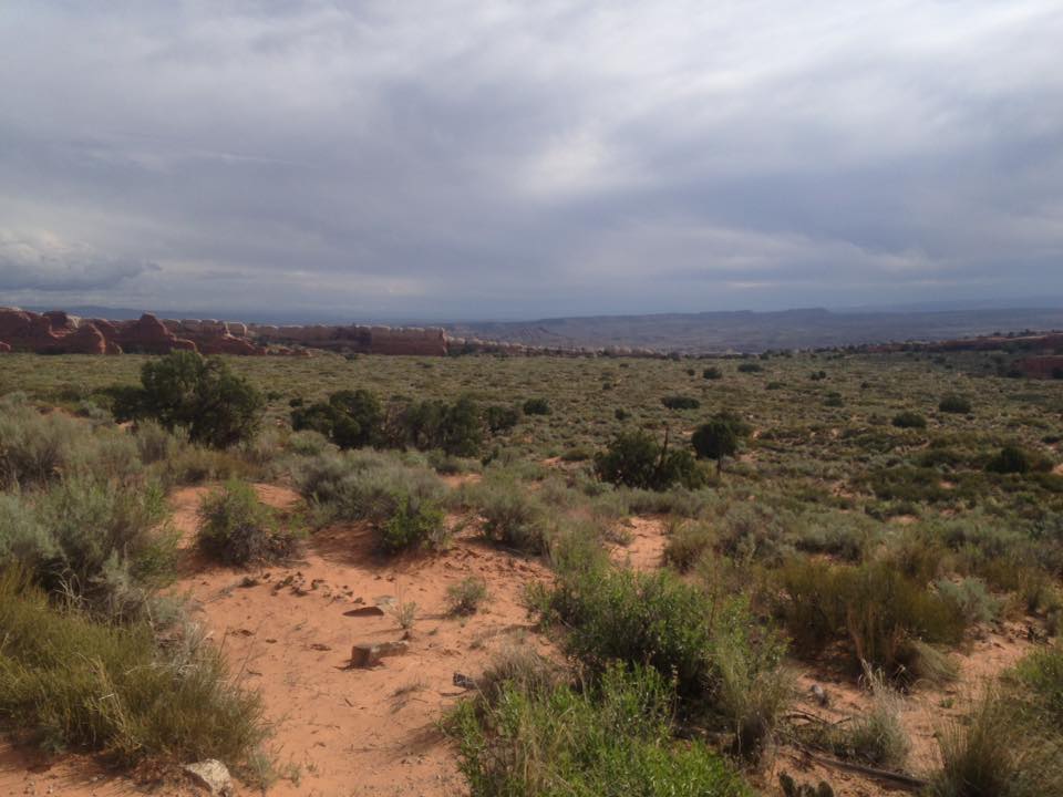 13178817_1243038842391530_2598245039238418579_n