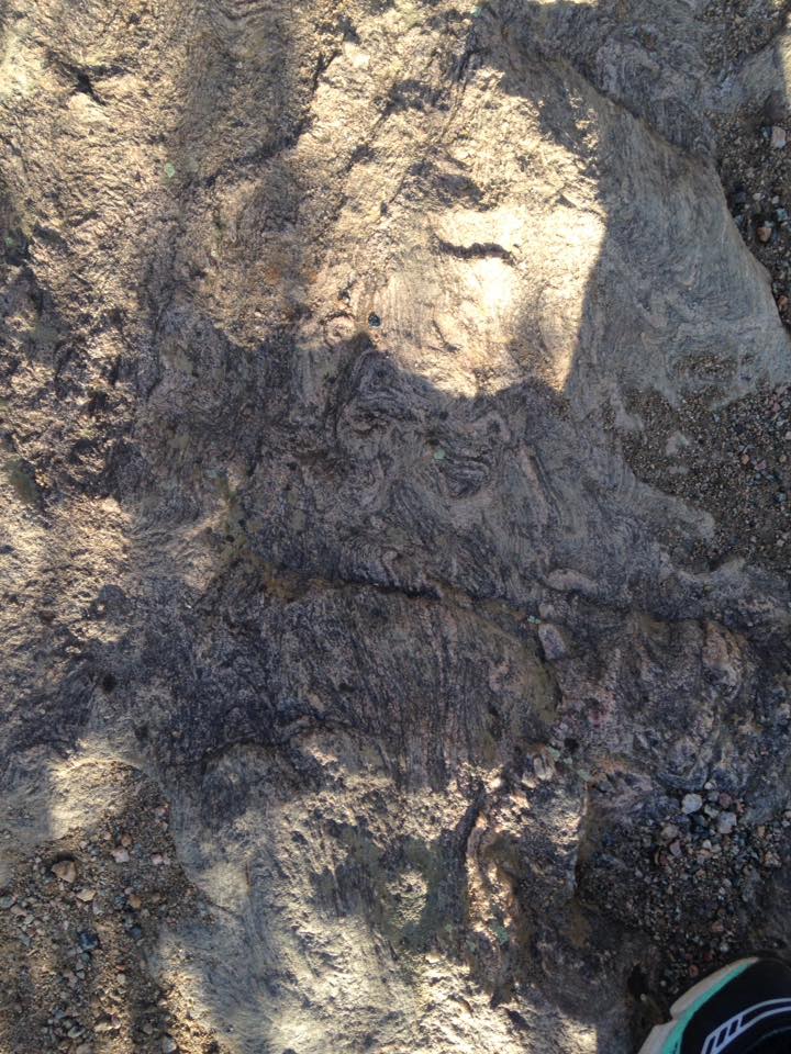 13178818_1242375312457883_6129324114240964882_n