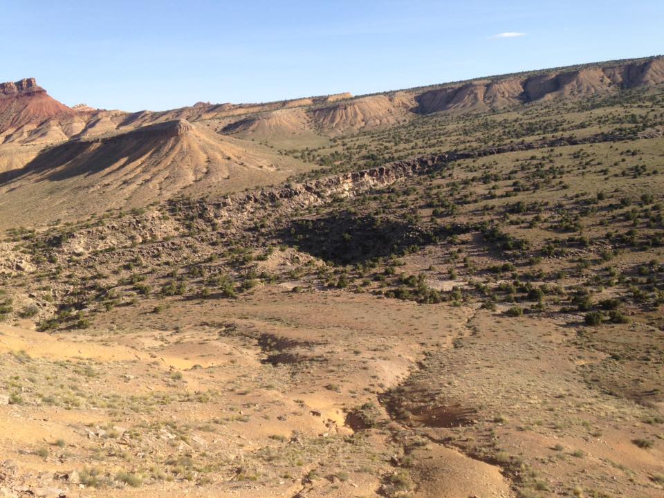 13178900_1247408738621207_436868055275225903_n