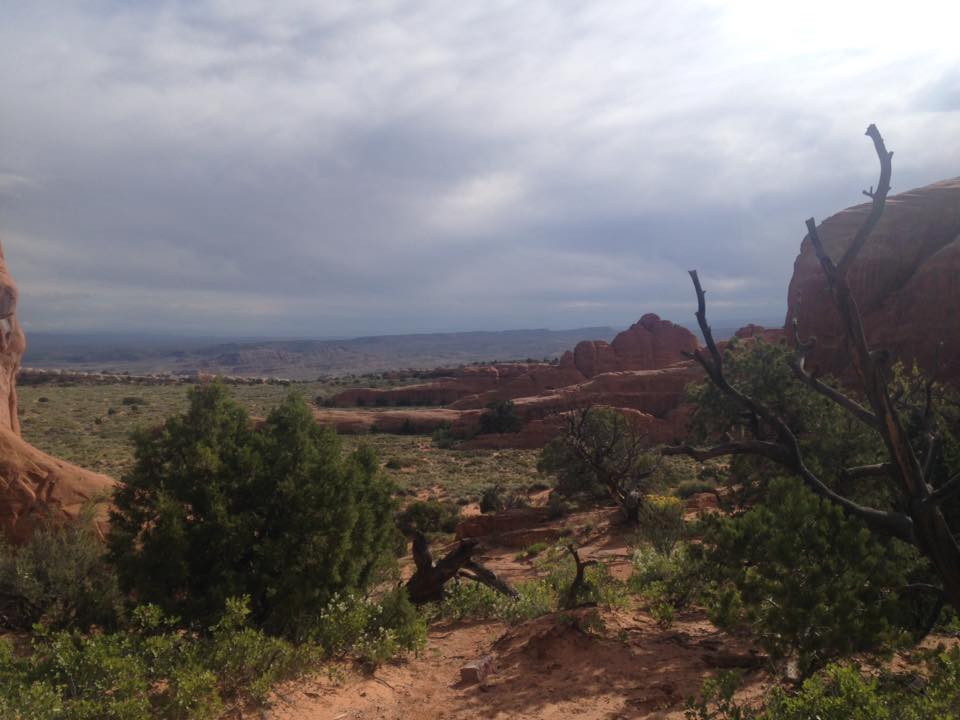 13179088_1243038965724851_8715636176127747506_n-1