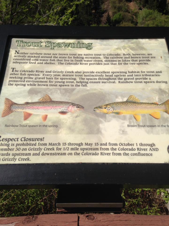 13179096_1247860191909395_318942976717074059_n