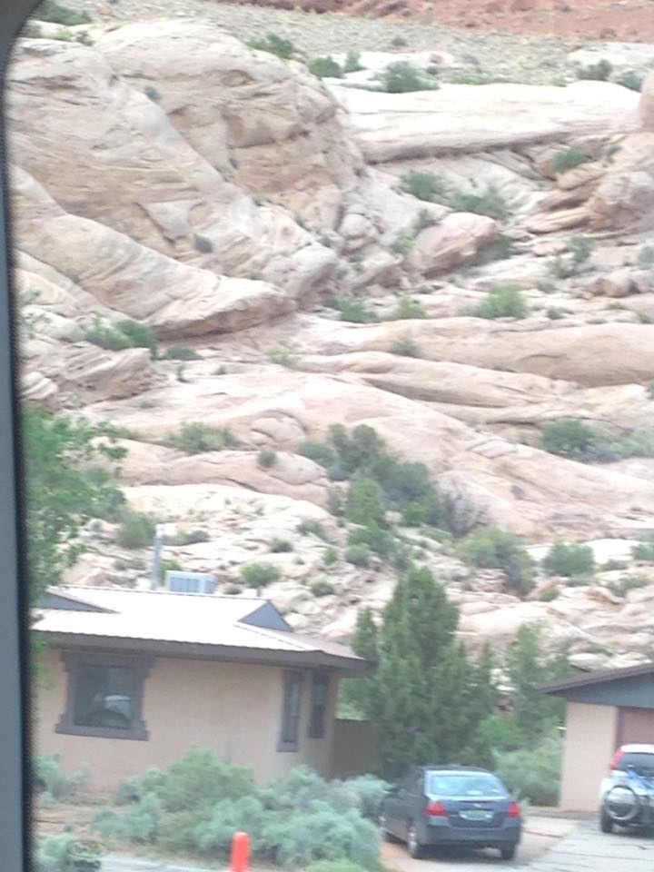 13179335_1242542019107879_2599578492716968050_n