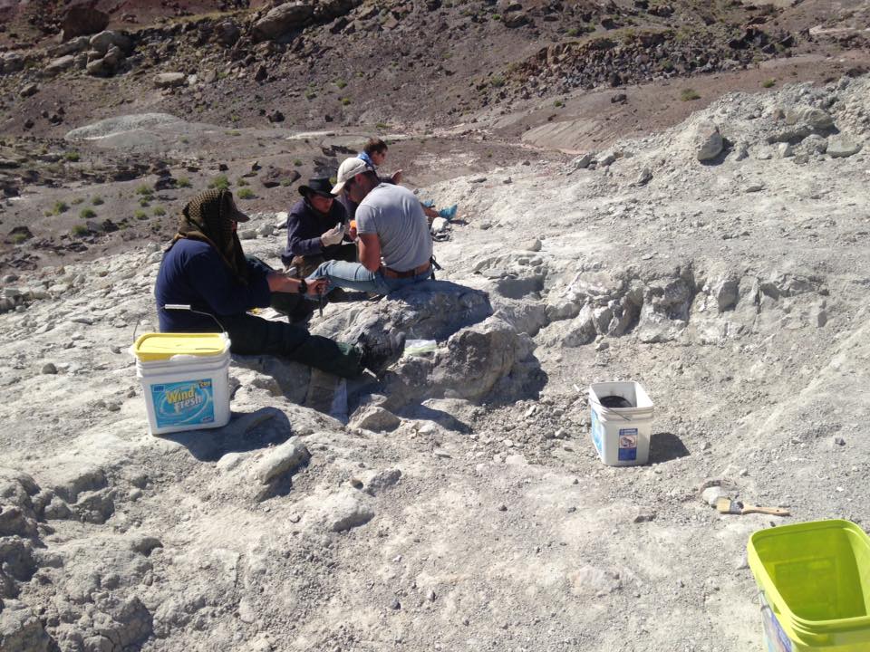 13179337_1246092138752867_3101989524816815148_n