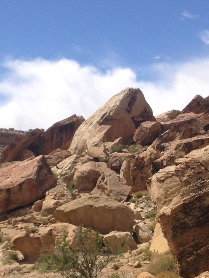 13179342_1243184635710284_6149533774080275383_n