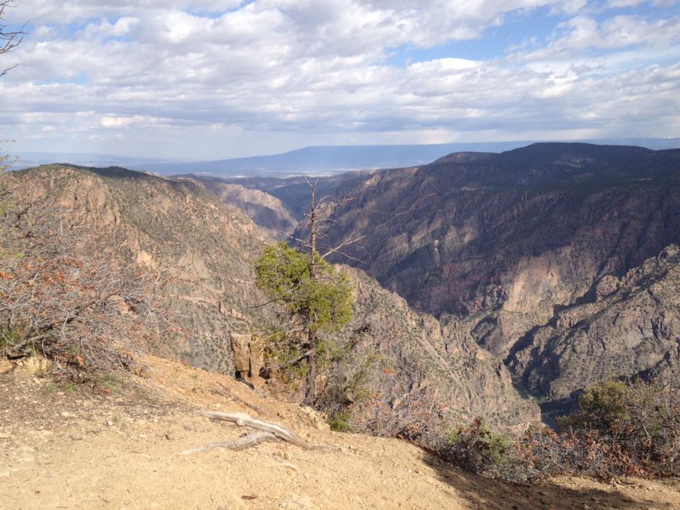 13179382_1242379375790810_6974300810310235359_n