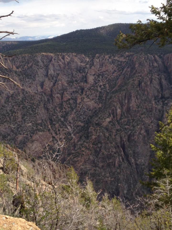 13179421_1242379262457488_7192382834750894245_n