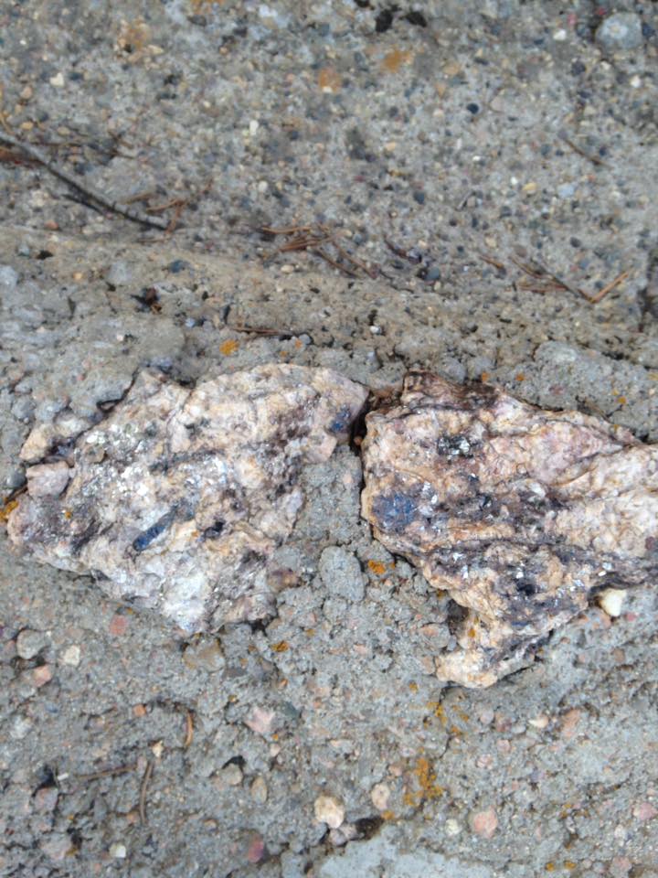 13179458_1242375652457849_7375992028240149190_n