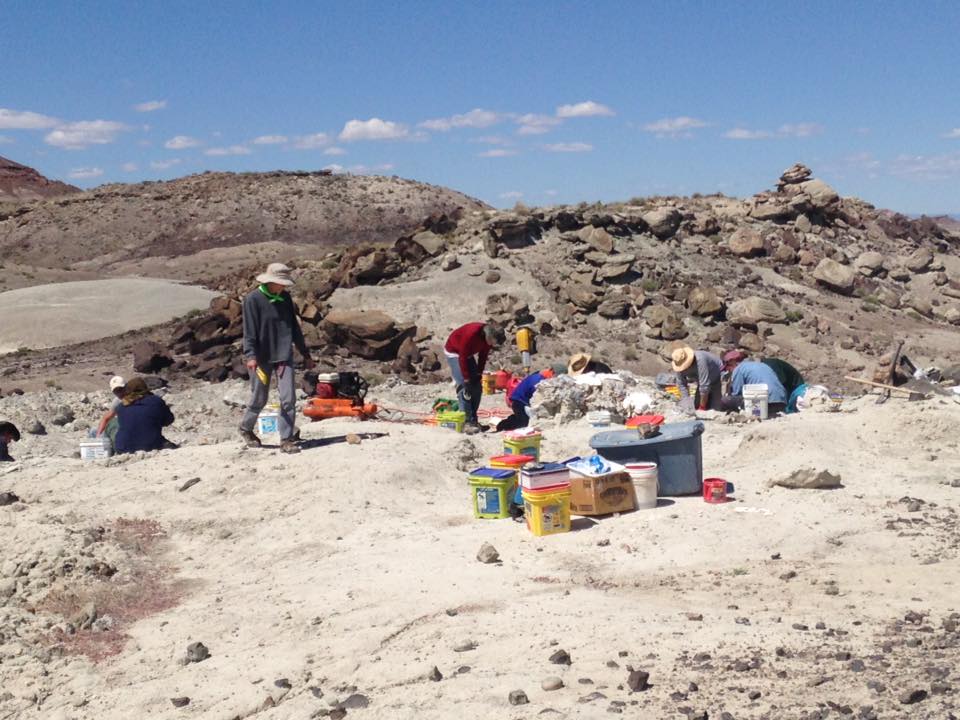 13220833_1246092535419494_392503539866305517_n