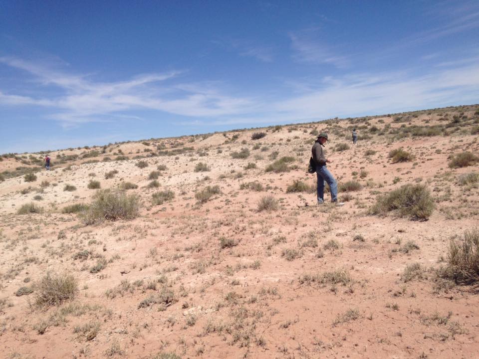 13220936_1246706308691450_1634965219198933980_n