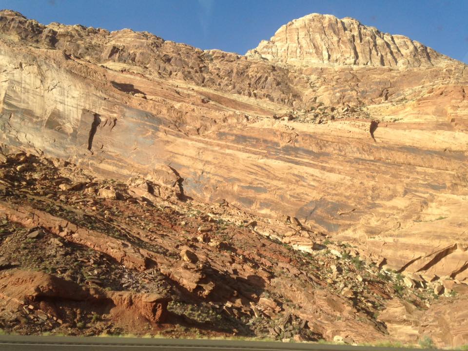 13221456_1247417385287009_1219279469787214094_n