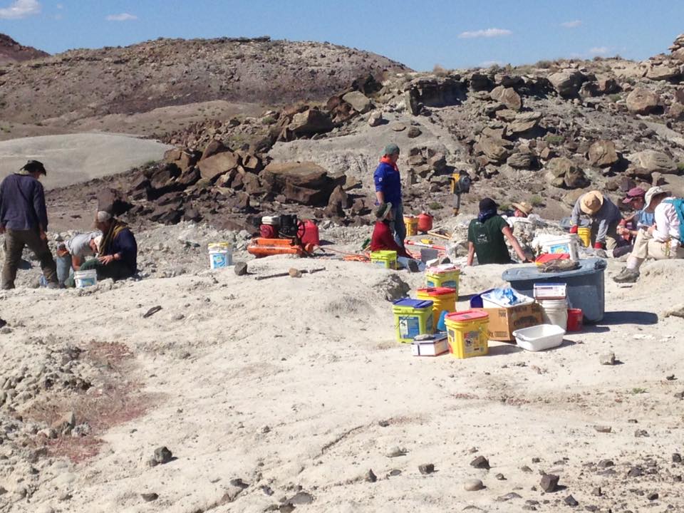 13221549_1246090228753058_5458893327225136998_n