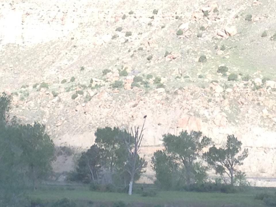 13226674_1247777541917660_4863481369556140449_n