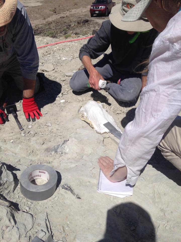 13226684_1246090408753040_7296406816628477947_n