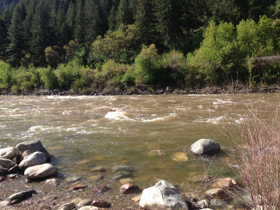 13230121_1247860738576007_2371376184507026571_n