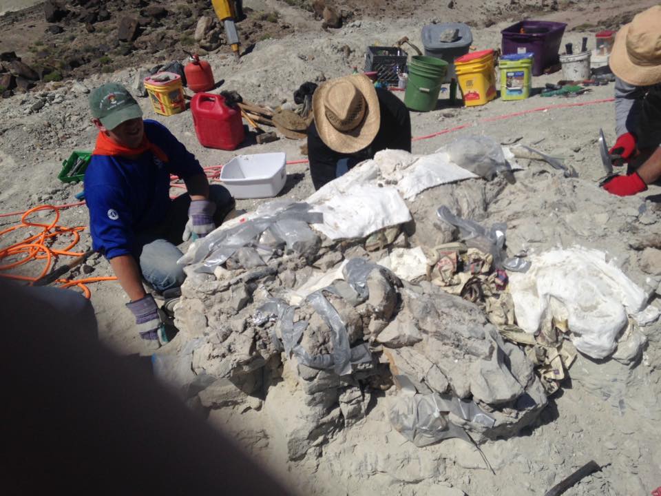 13230207_1246092388752842_6166668331344744058_n