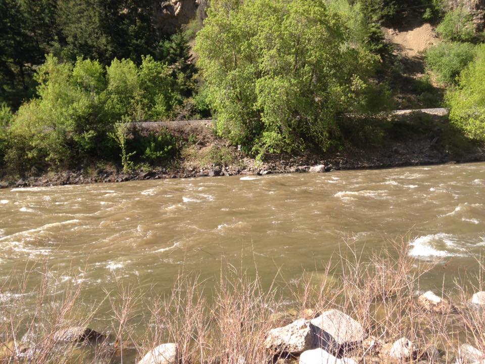 13232984_1247860671909347_5063117350913714548_n