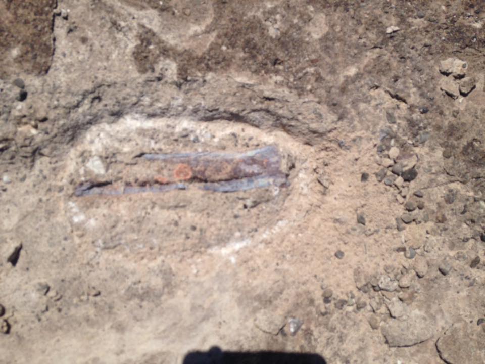 13237836_1246706215358126_6367234207302137_n