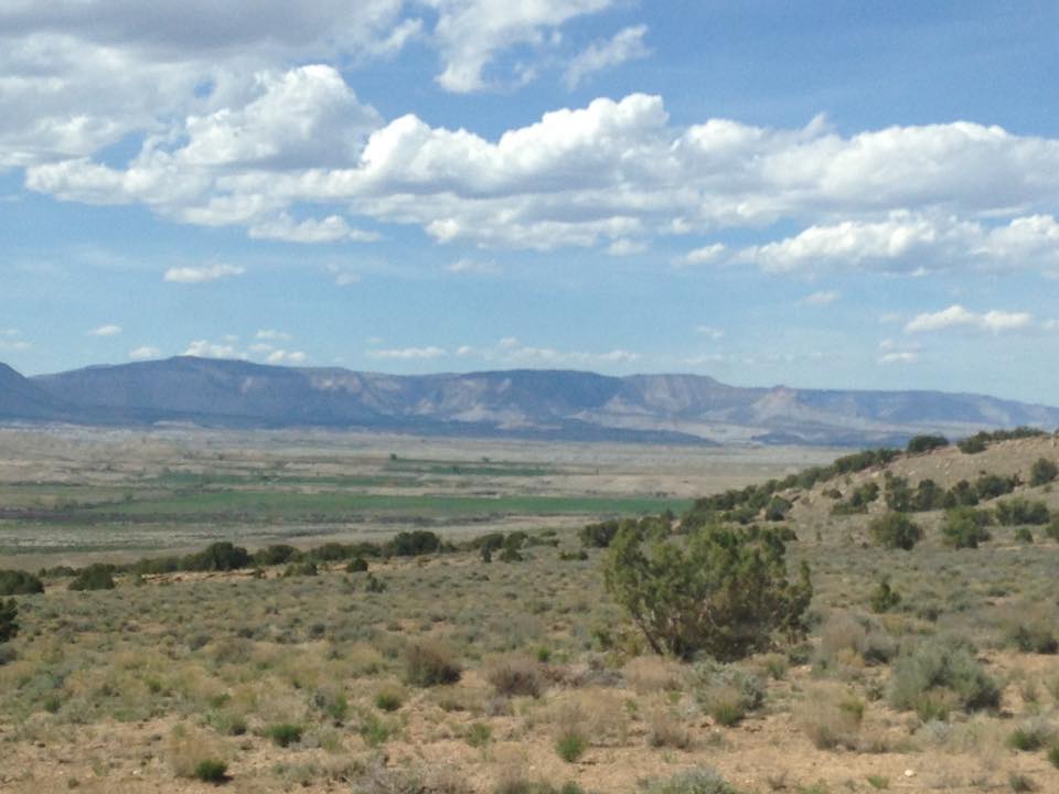 13237836_1247387578623323_520077779644259571_n