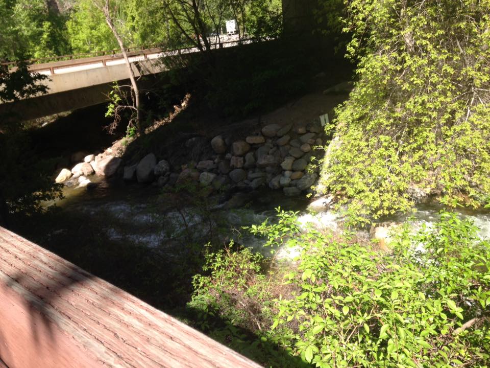 13239070_1247860131909401_561967481381621204_n