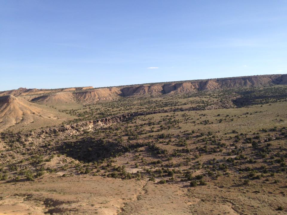 13239363_1247408598621221_5896267369639310666_n