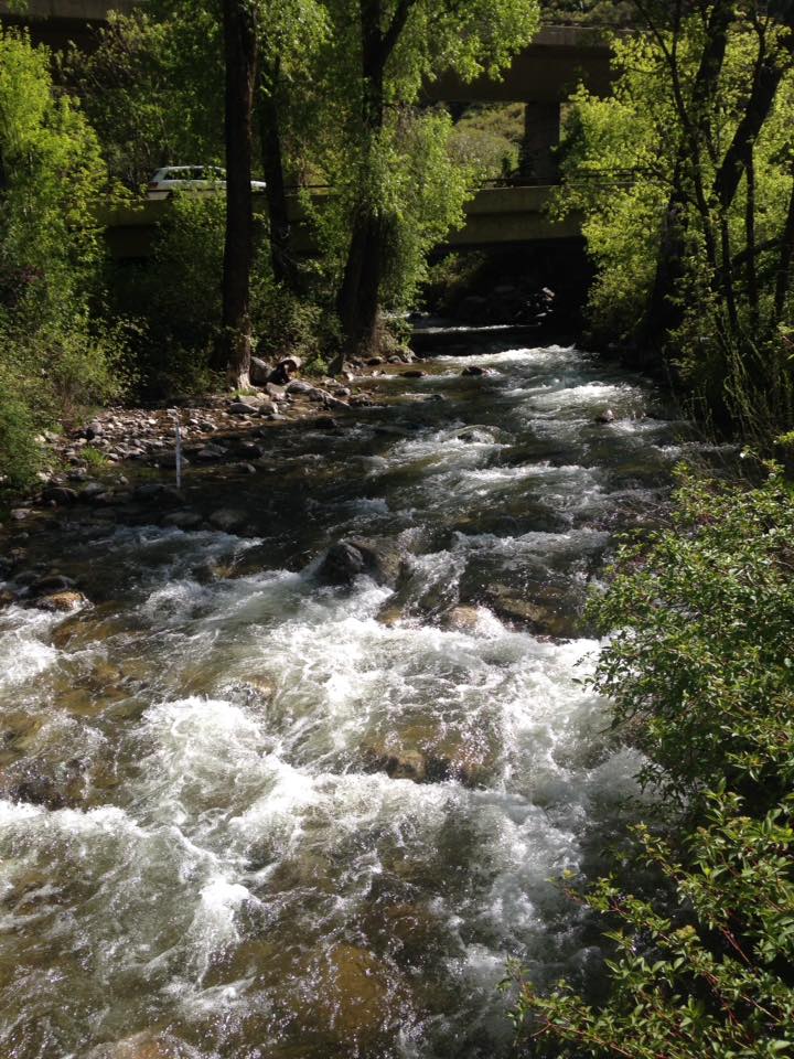 13241279_1247860281909386_5033988944341081659_n