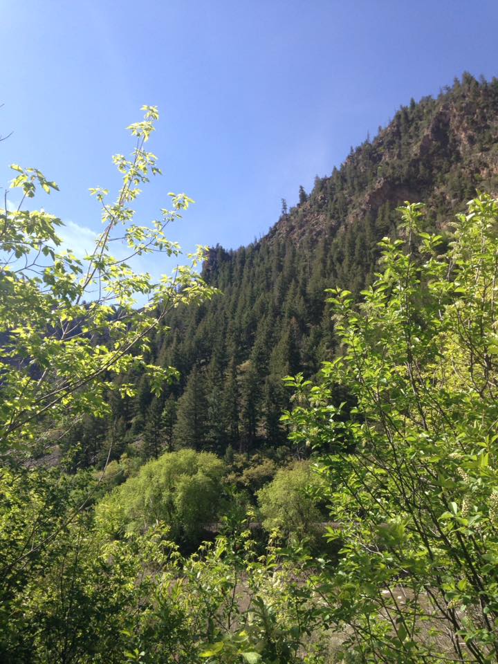 13241399_1247860171909397_7638072767970635172_n