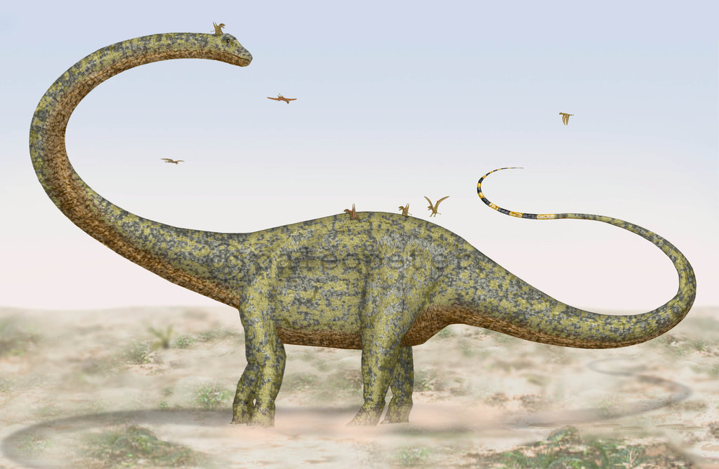 452_barosaurus_peter_montgomery