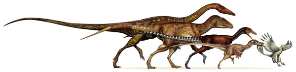 Davide-Bonnadonna-theropod-size-evolution-600-px-tiny-July-August-Darren-Naish-Tetrapod-Zoology