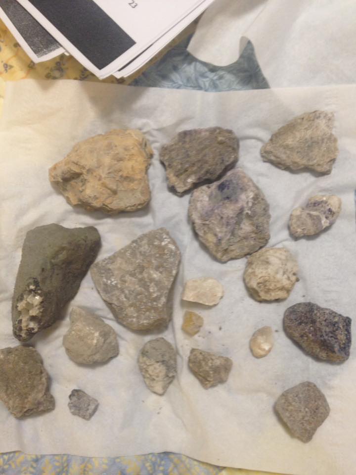 13606923_1303441446351269_195170581264886250_n