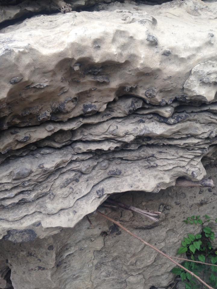 13615348_1303431873018893_129059559470835133_n