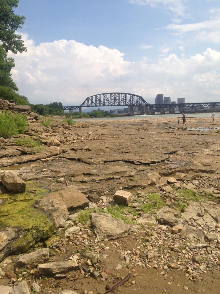 13669087_1303431819685565_8578424382803372910_n