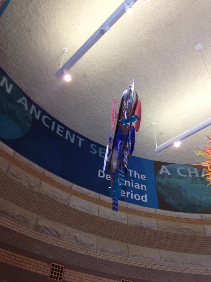 13669715_1303426833019397_7978803457824938036_n