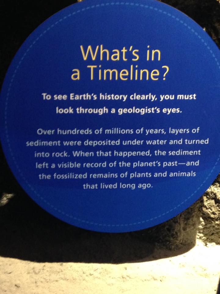 13680576_1303427043019376_3798409032940023240_n