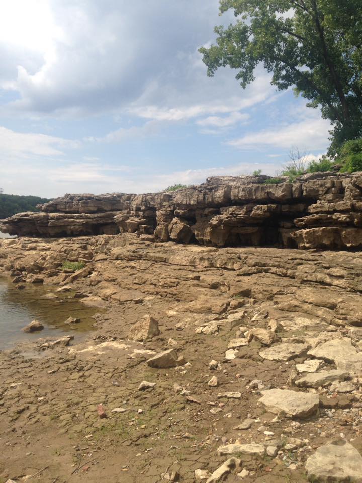 13680792_1303431816352232_3086179326742610213_n