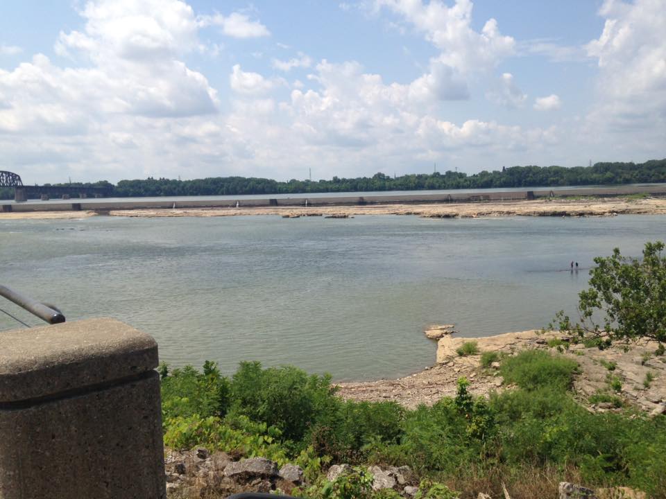 13680925_1303426103019470_7142861616826616881_n