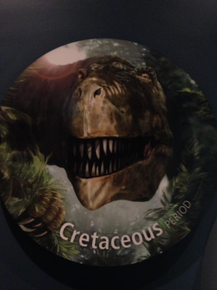 13686596_1303428249685922_3507616725606612343_n