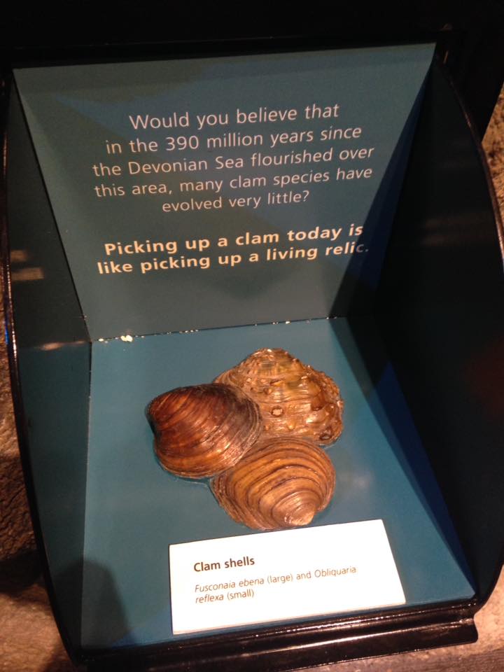 13873169_1303428059685941_5307221114704527398_n