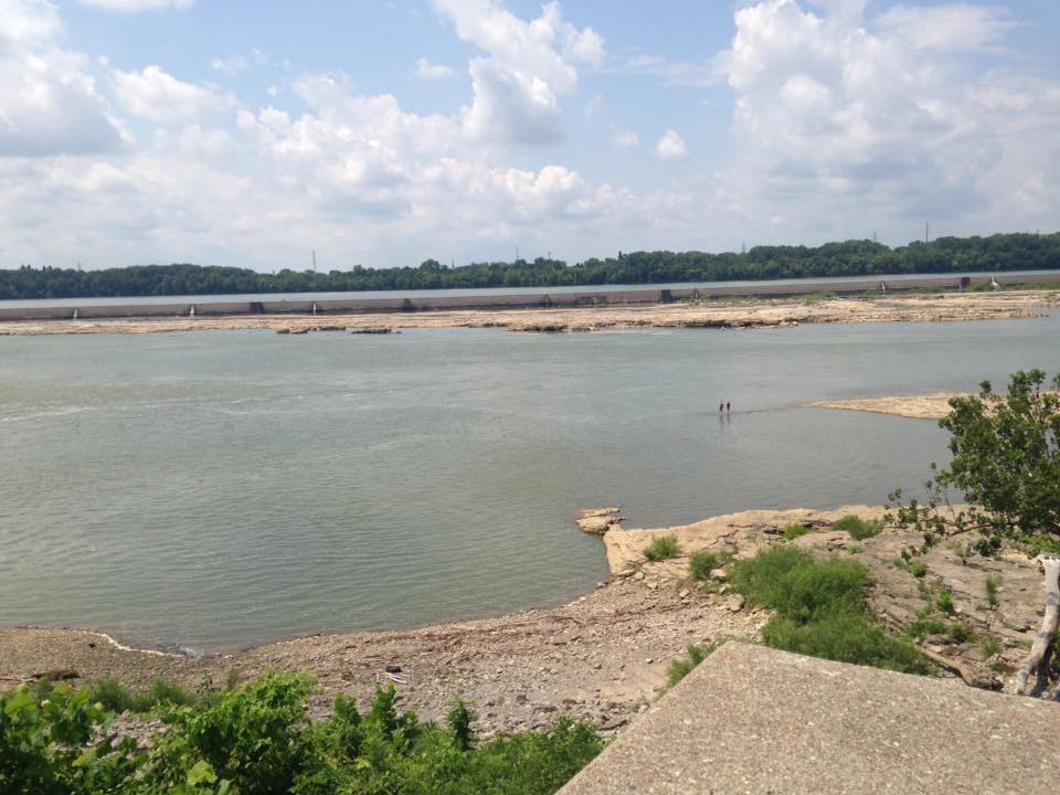 13876173_1303426689686078_184149445574554635_n