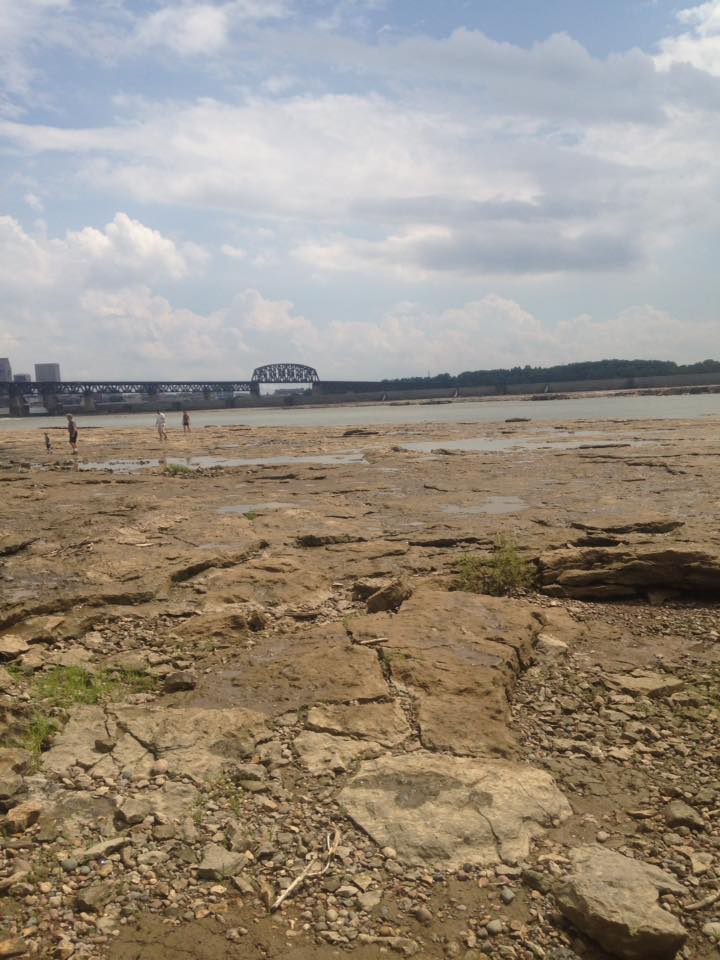 13879210_1303431779685569_8624583756157429820_n