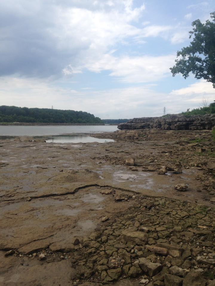 13882100_1303431616352252_1202357215127675924_n