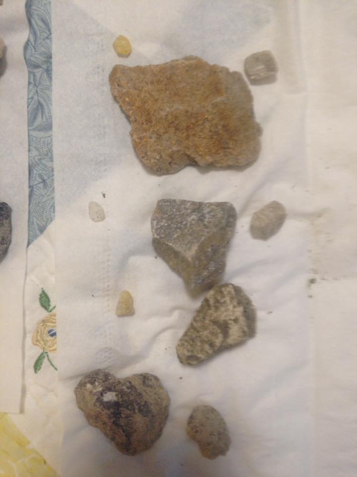 13882125_1303441433017937_5419791598635343060_n