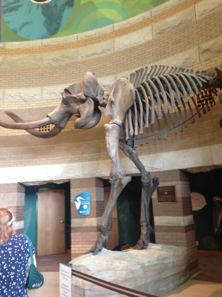 13886366_1303426856352728_3505705449872305757_n