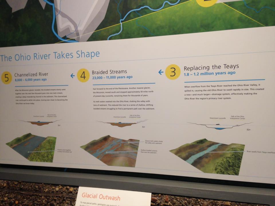 13886951_1303428293019251_3410640149203487797_n