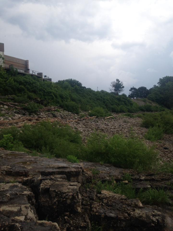 13886951_1303430983018982_506134686551863274_n