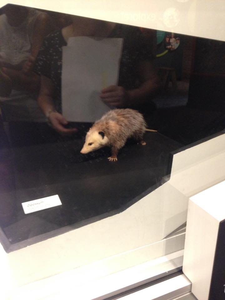 13891974_1303430479685699_6049321847510226035_n