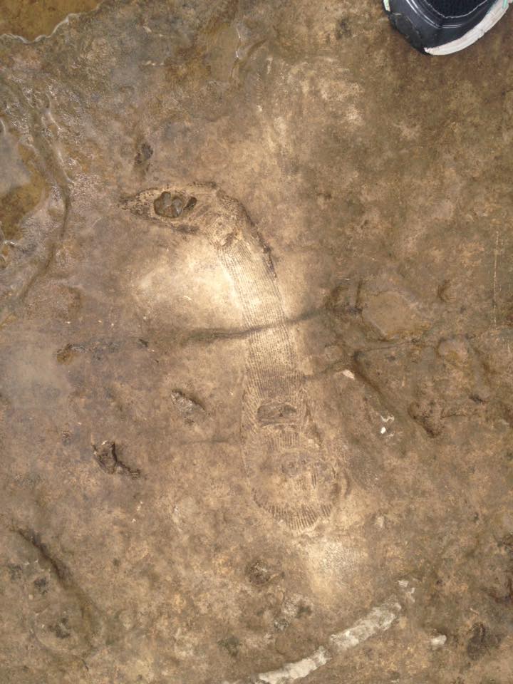 13892052_1303431426352271_199709232942370322_n