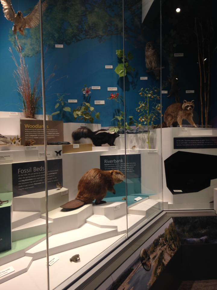 13892250_1303430459685701_1536684815114504611_n