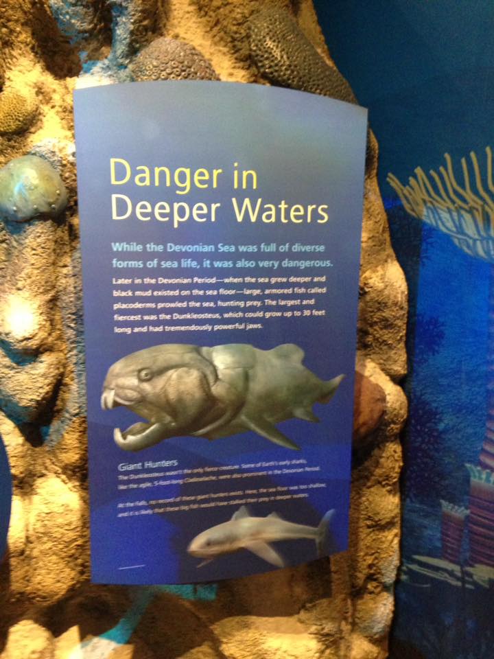 13901344_1303428129685934_8567959732254715424_n