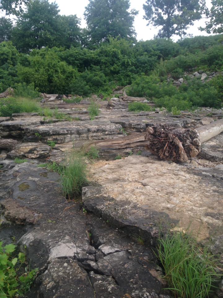 13901416_1303430989685648_8263421965901317750_n